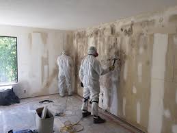 Best Mold Remediation for Healthcare Facilities  in Long View, NC